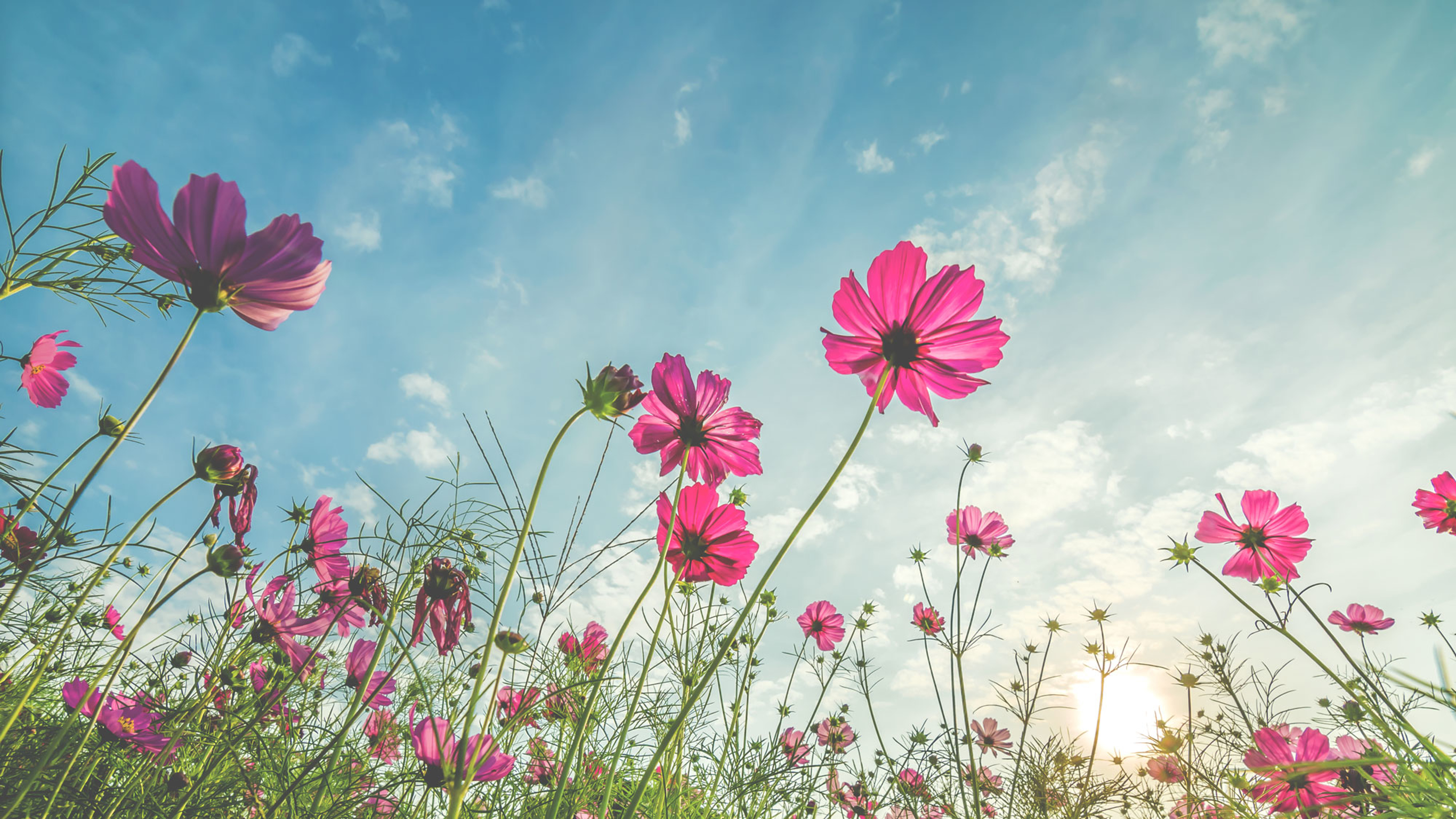 Sleep Visualization: Calming Colours