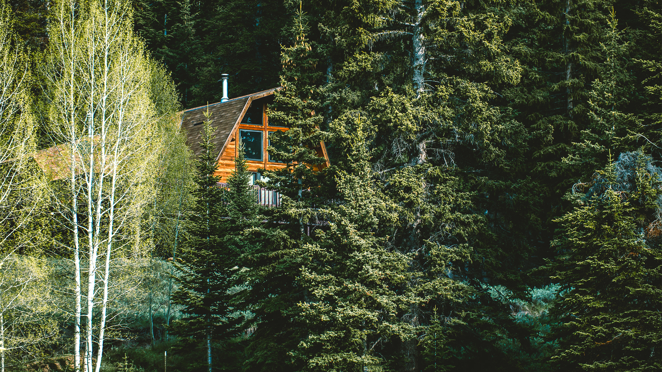 Sleep Visualization: Your Mountain Escape