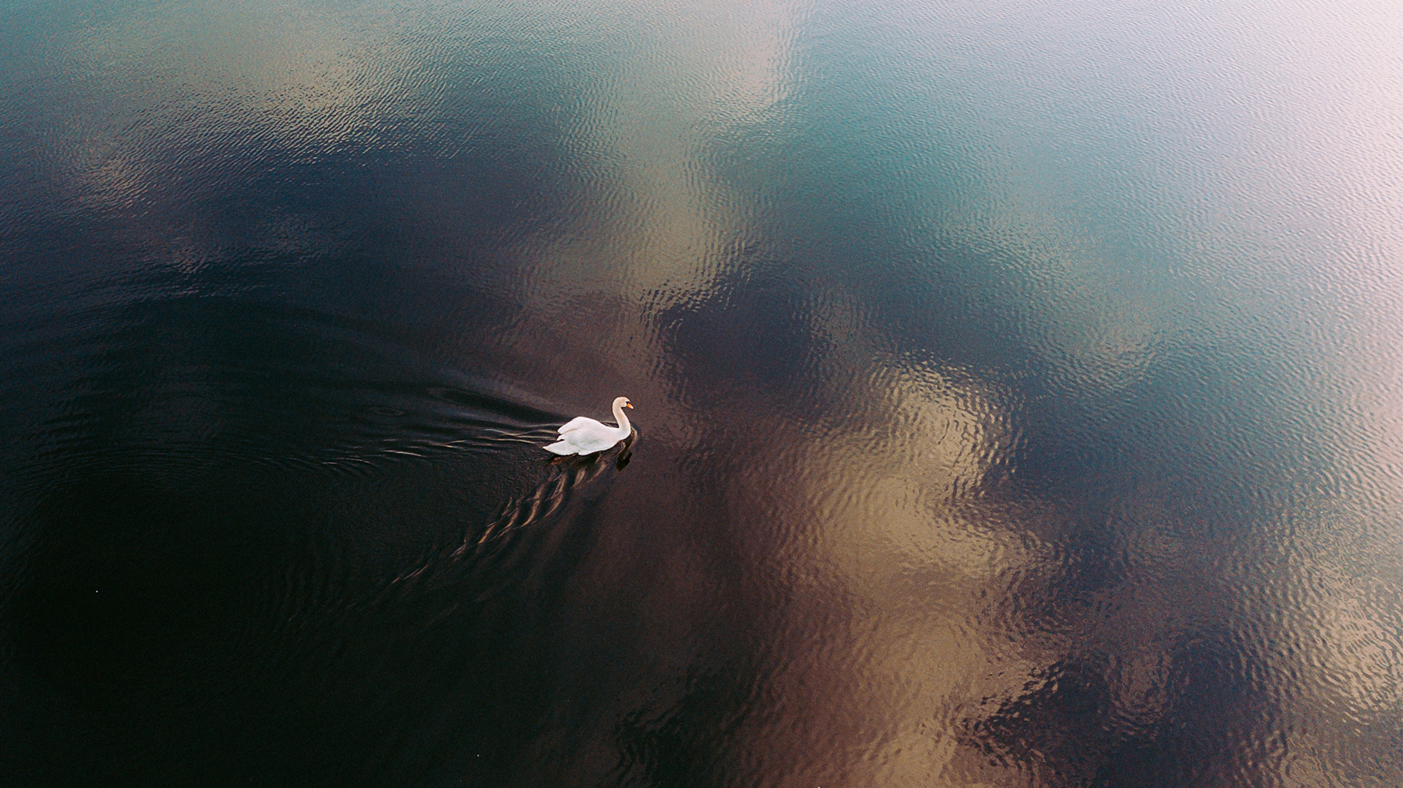 Overwhelmed: Embrace the Silence