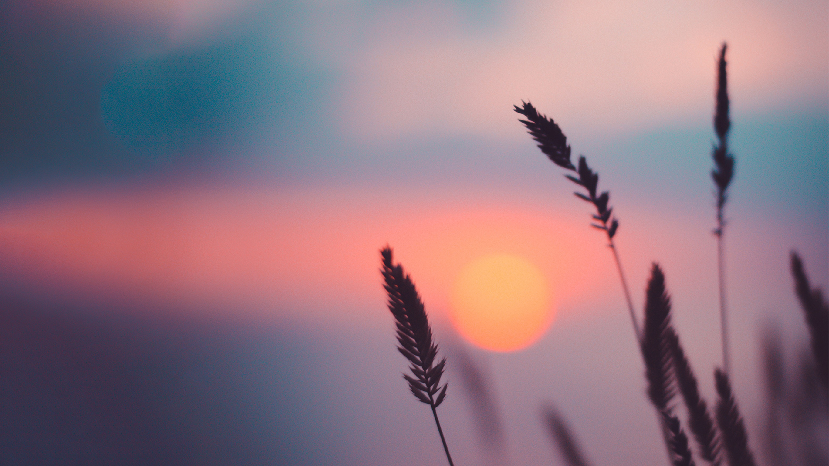 Sleep visualization: Dusk Falls with Sergio