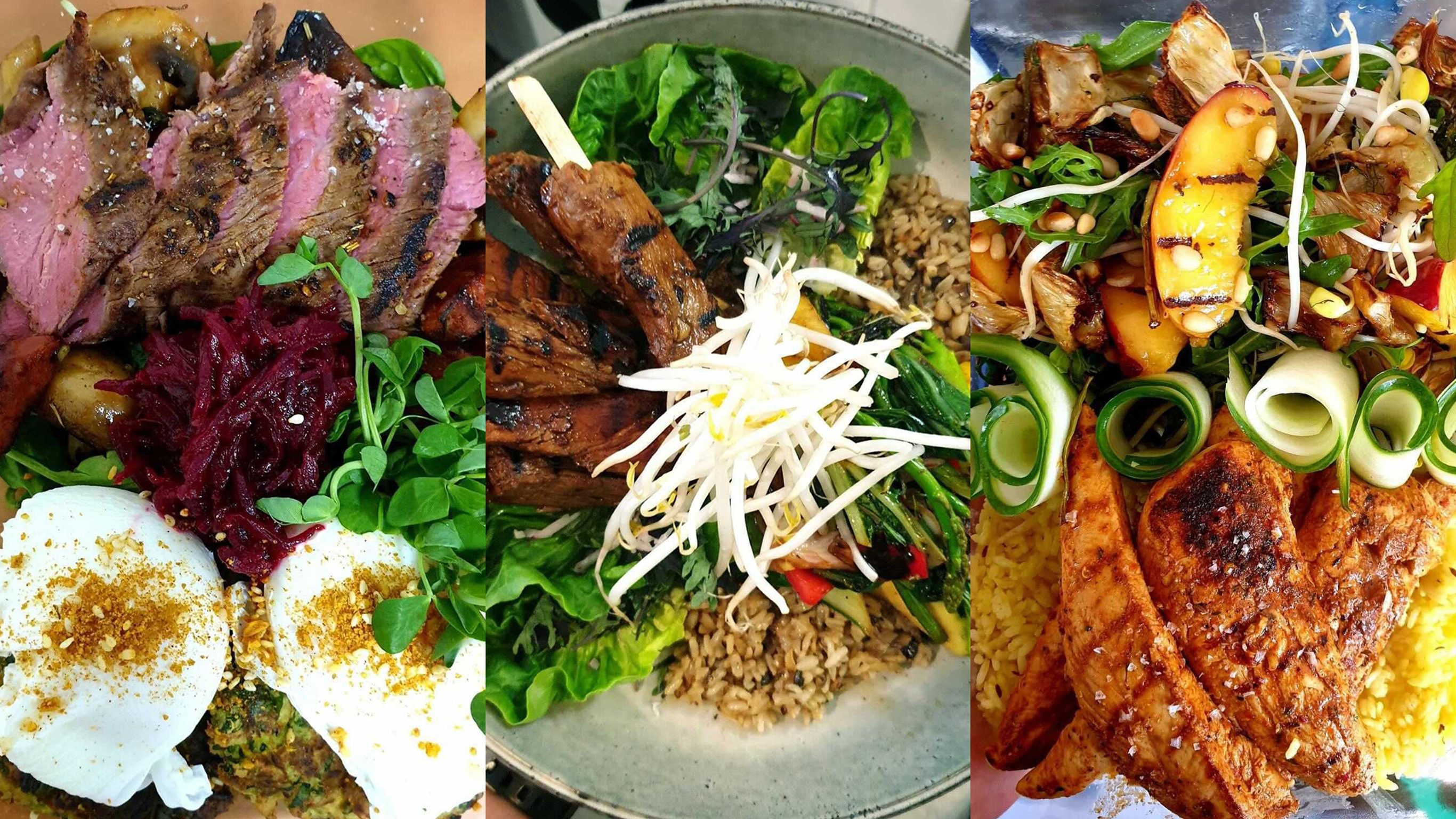 A triptych image of three protein-rich meals.