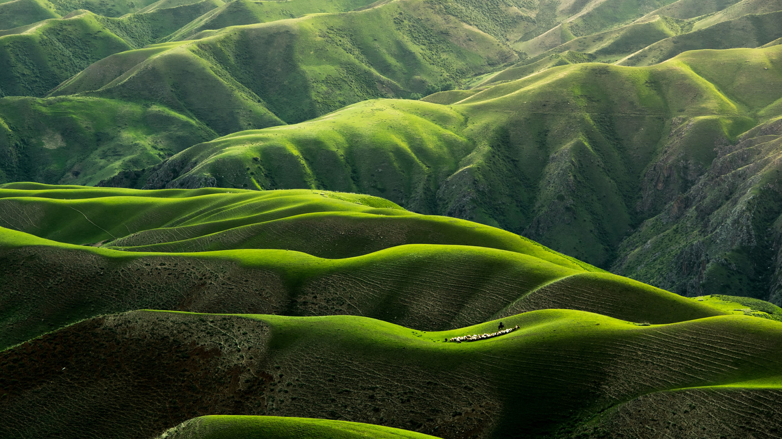 Undulating green mountains as seen from above.