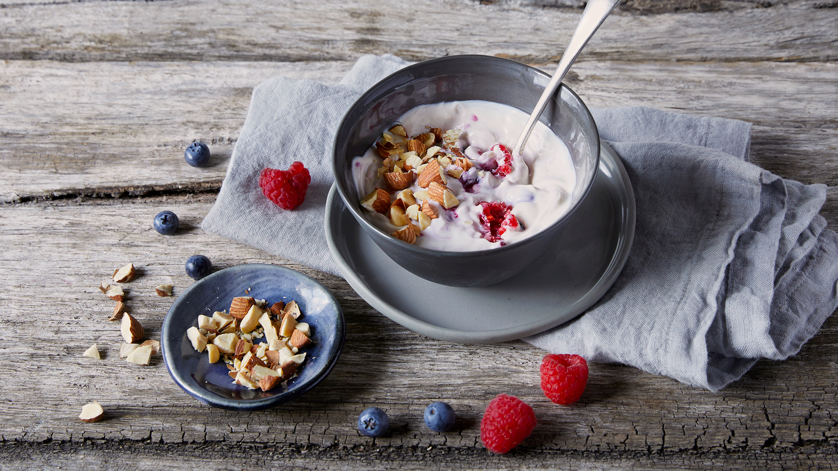 Protein Berry Yogurt