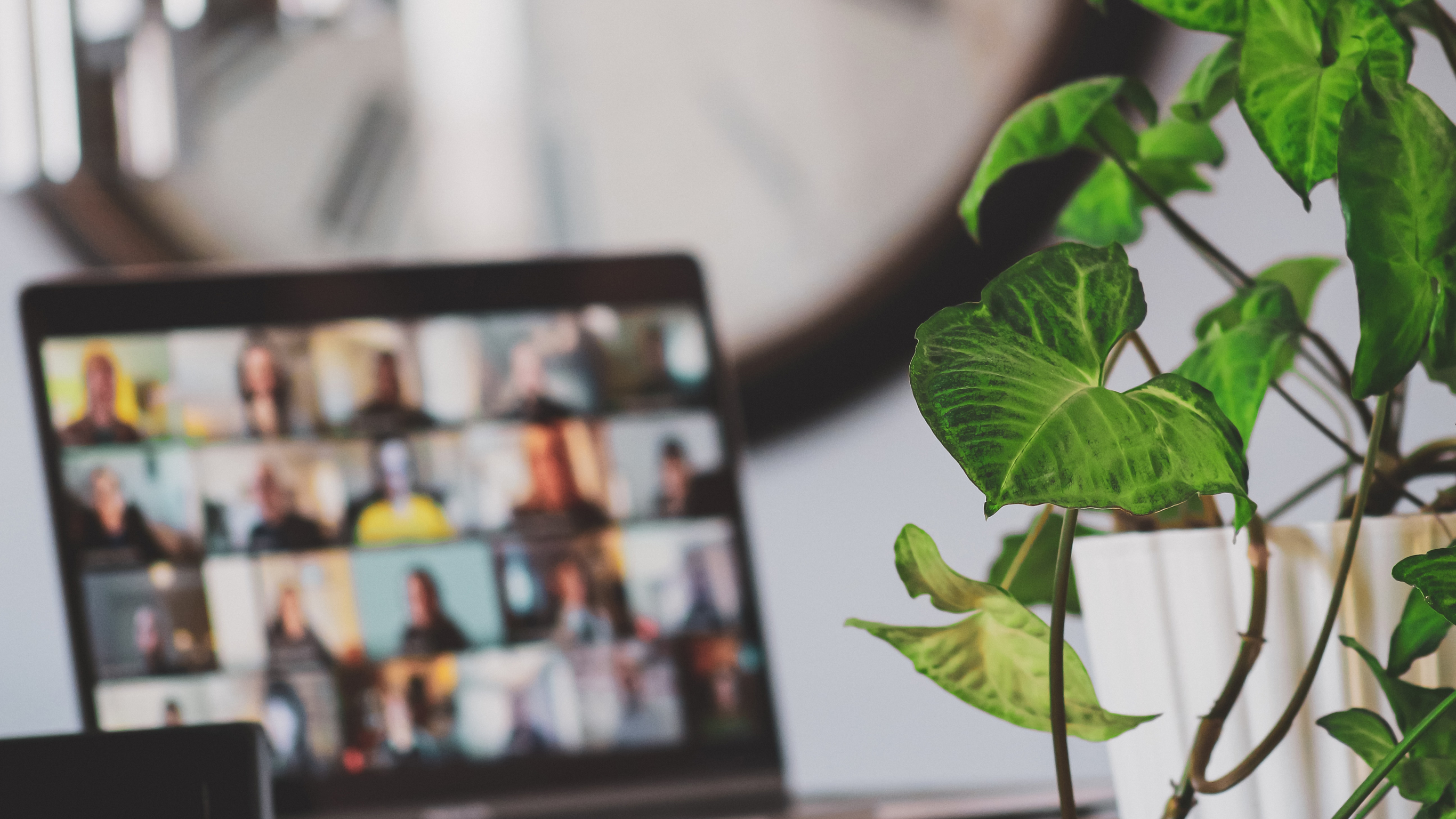 A plant in the foreground partially obscures a computer screen that displays an online meeting with dozens of people.