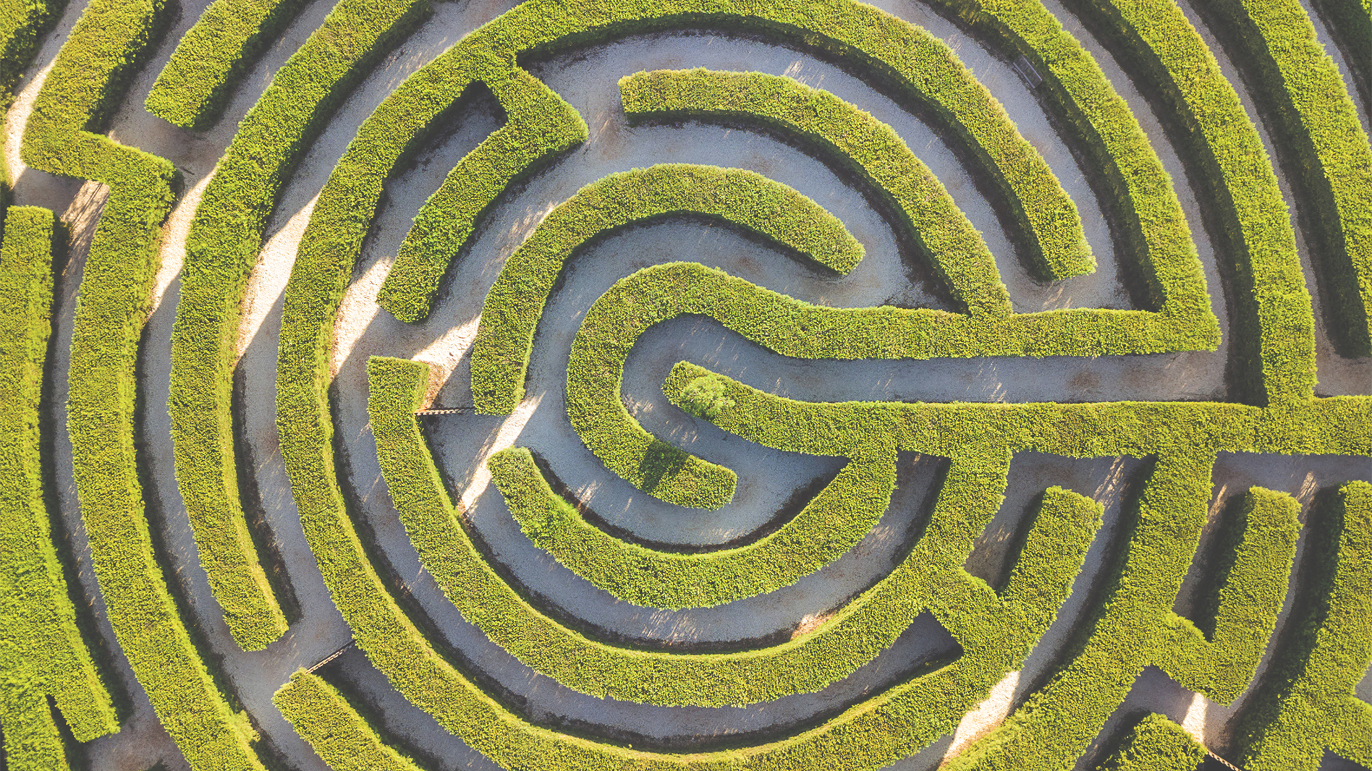 Meditation: Find Your Focus