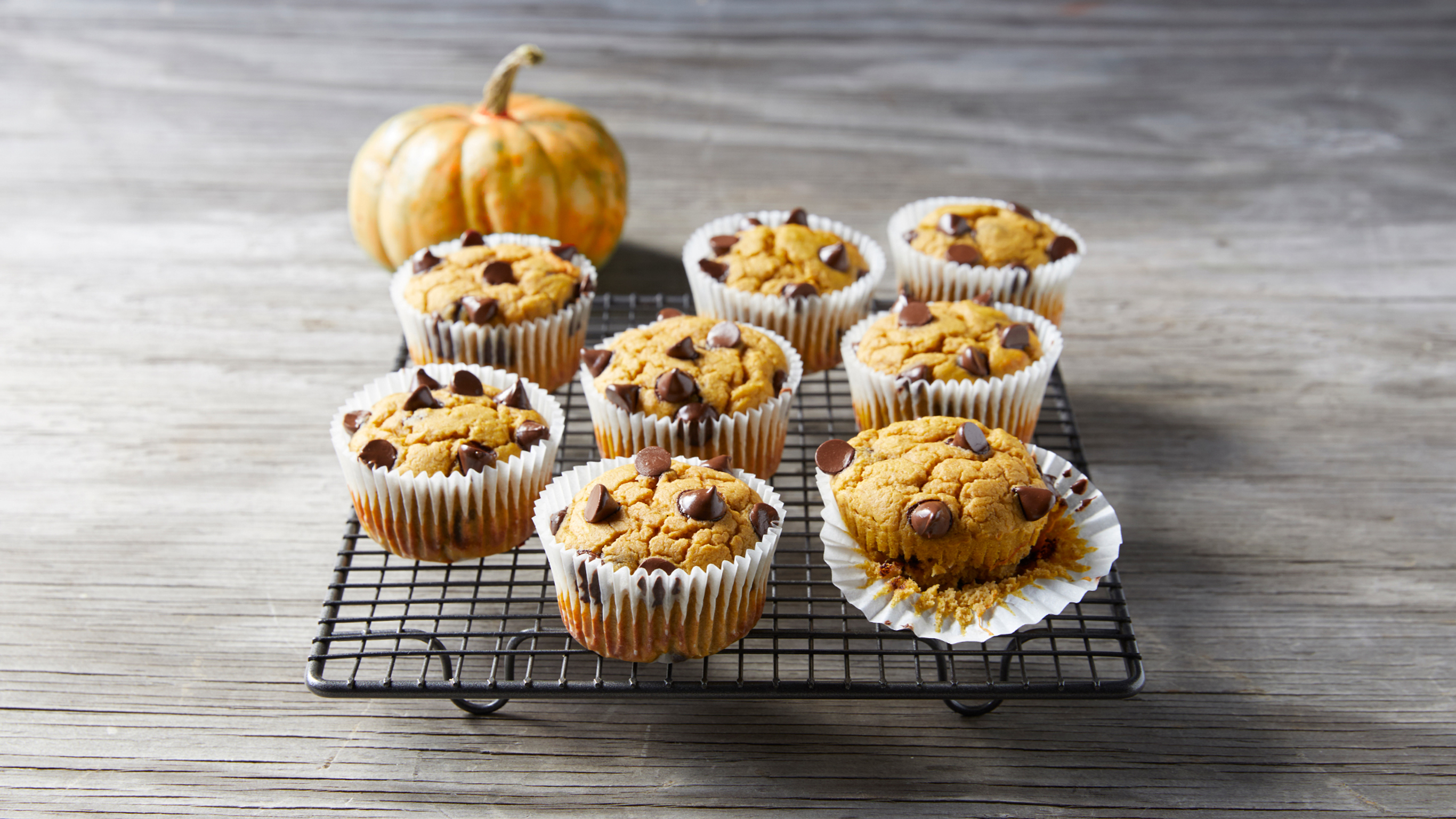 Choc Chip Pumpkin Muffins, from the Centr meal plan.