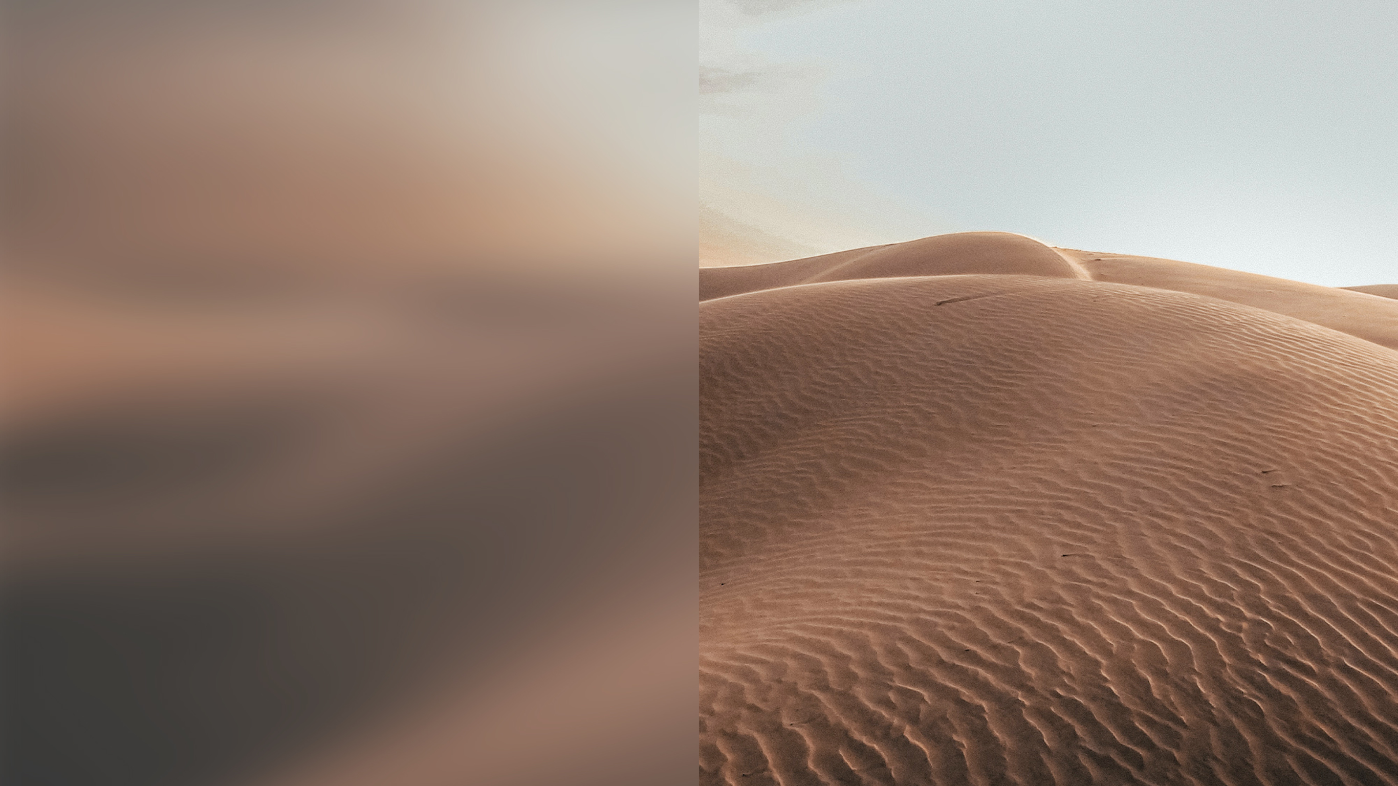 Rolling sand dunes at sunset.