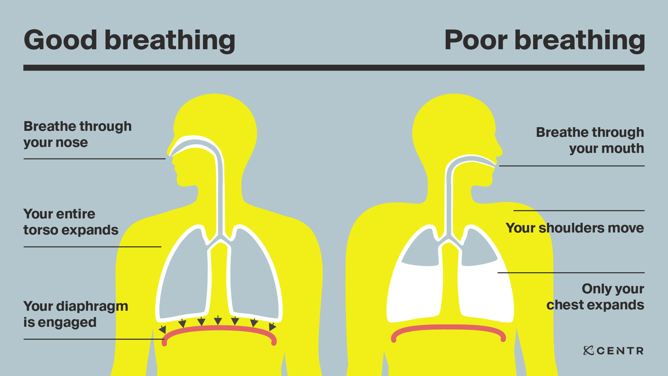 An infographic showing information about good vs. poor breathing.