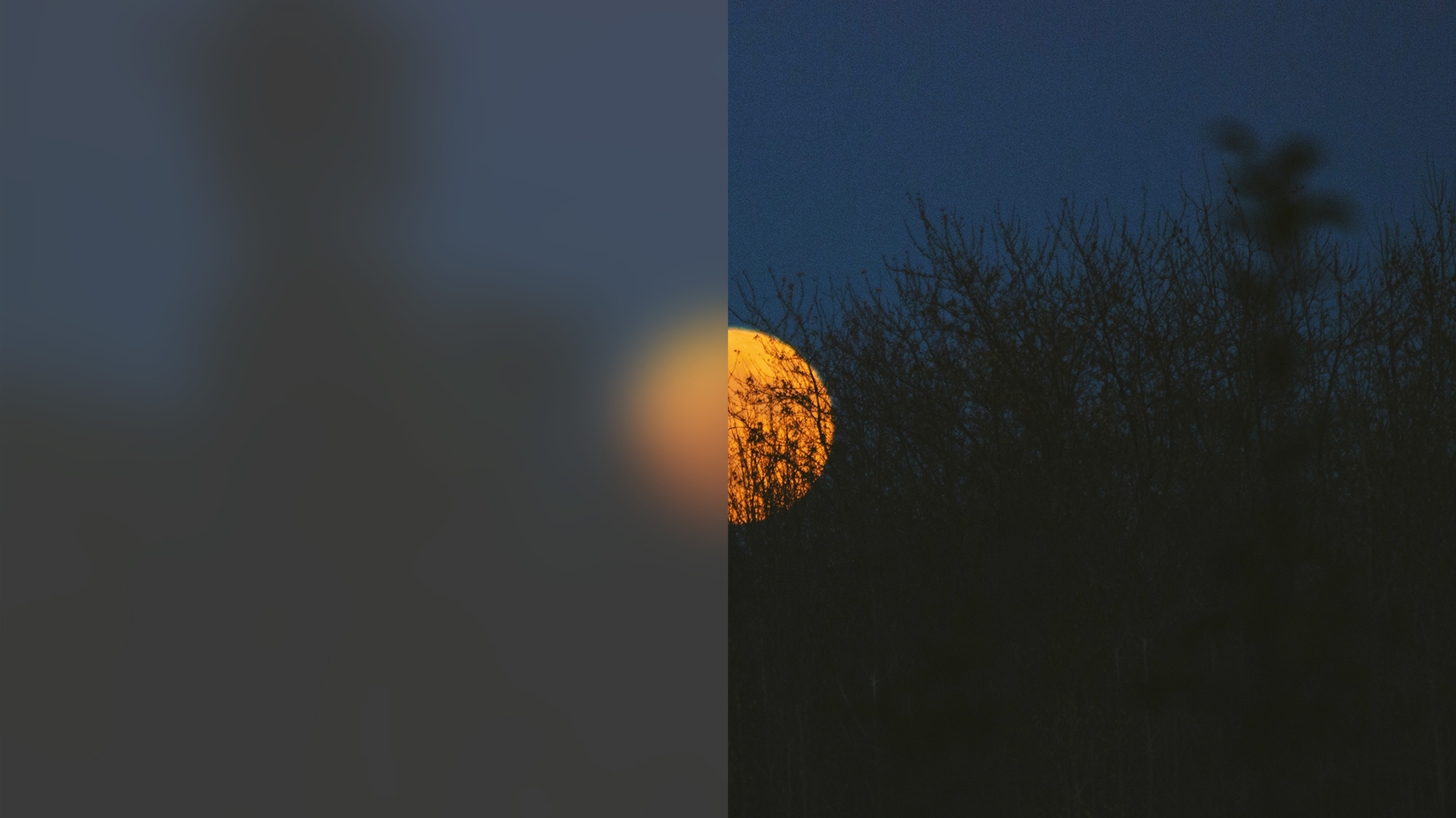 A full yellow Moon partially obscured by a tree. Half of the image has a translucent overlay denoting the Power Sleep series.