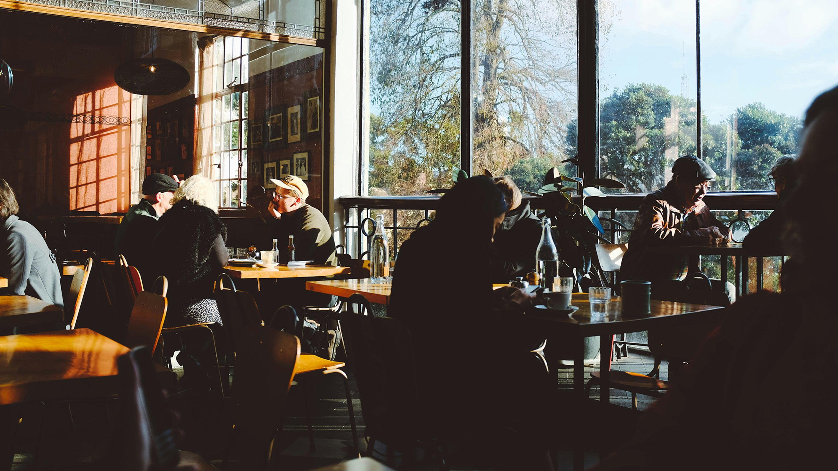 A busy but quiet cafe scene, with soft daylight hues and wooden tables, chairs and large windows overlooking a treed parkland.
