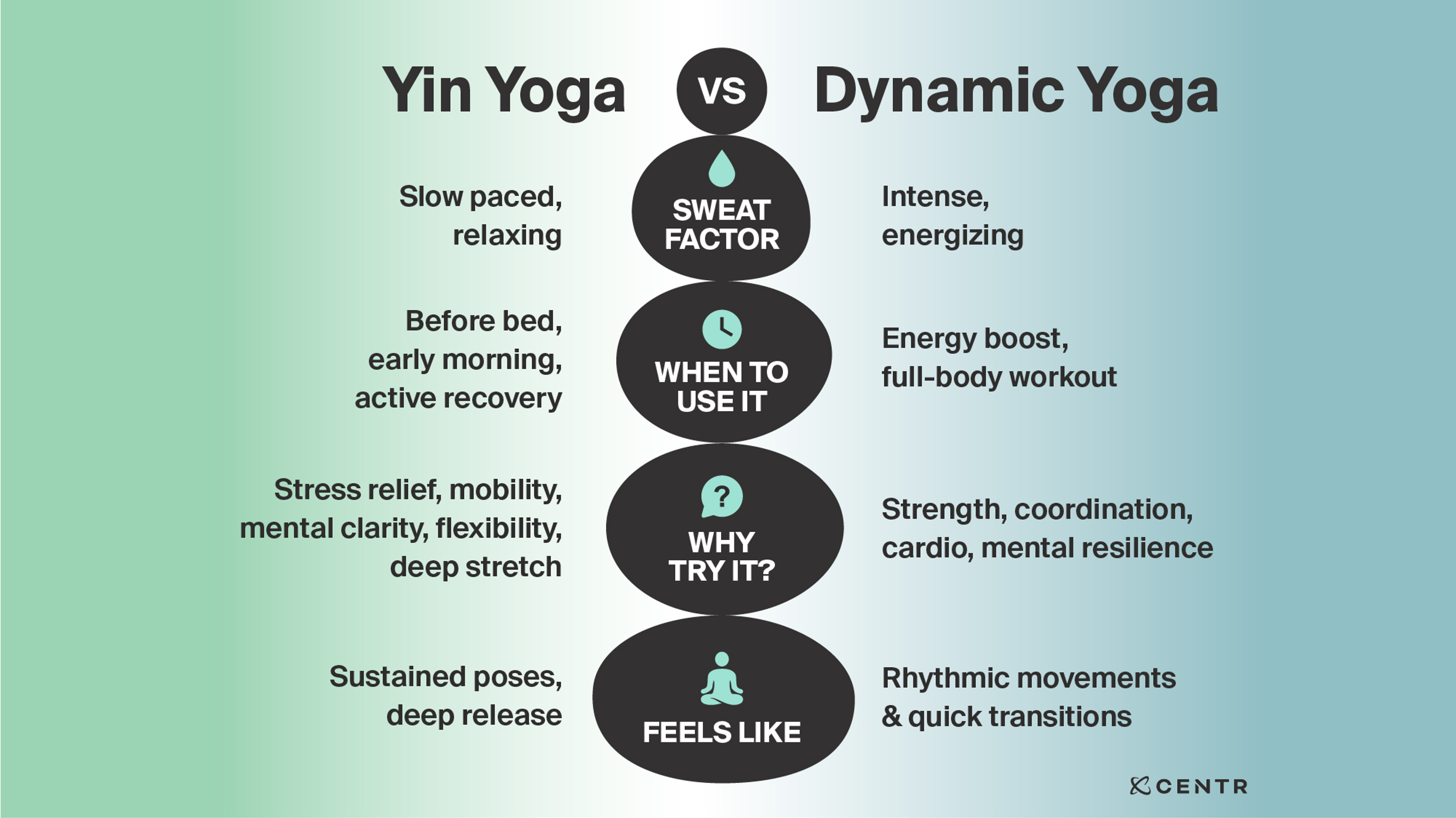 An infographic explaining the differences between Yin yoga and Dynamic Yoga.