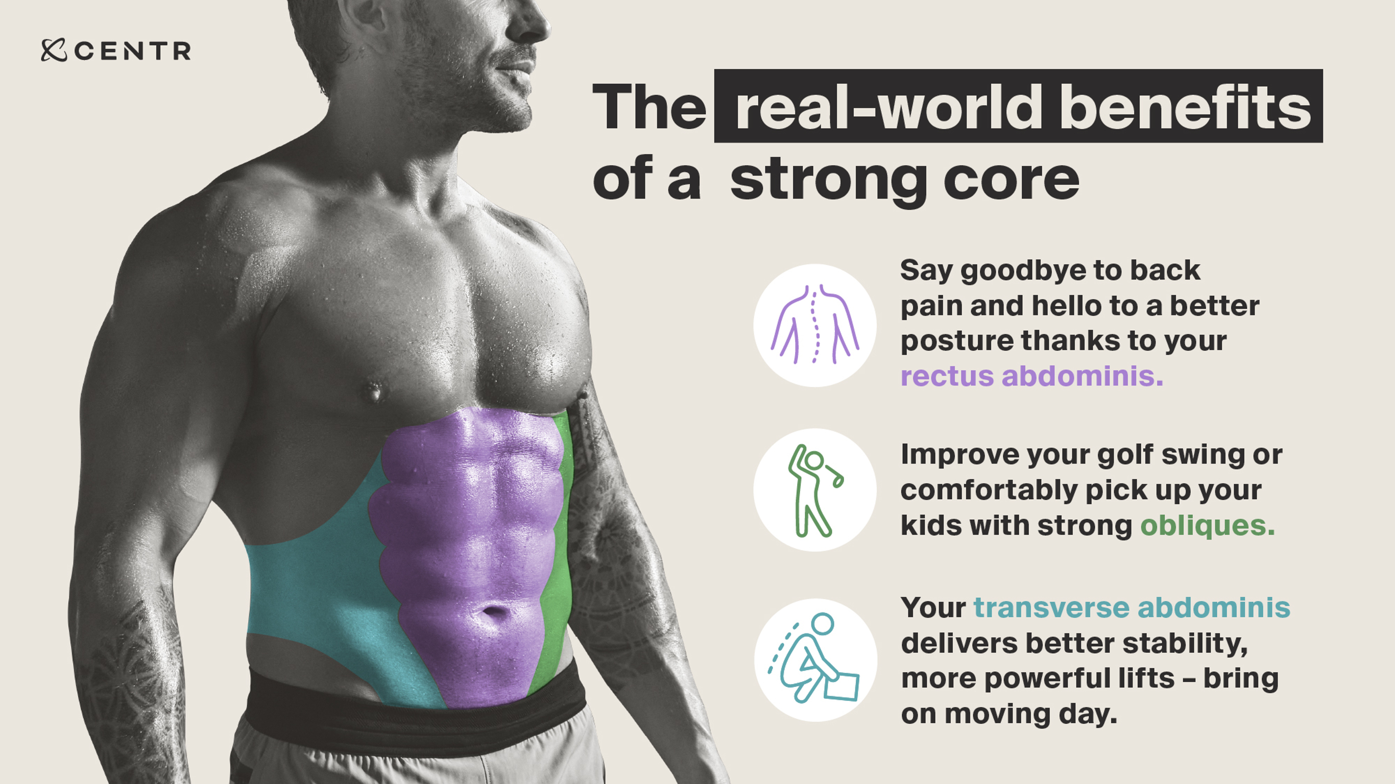 A visual aid showing the different areas of the core, overlaid on a picture of Centr trainer Luke Zocchi.