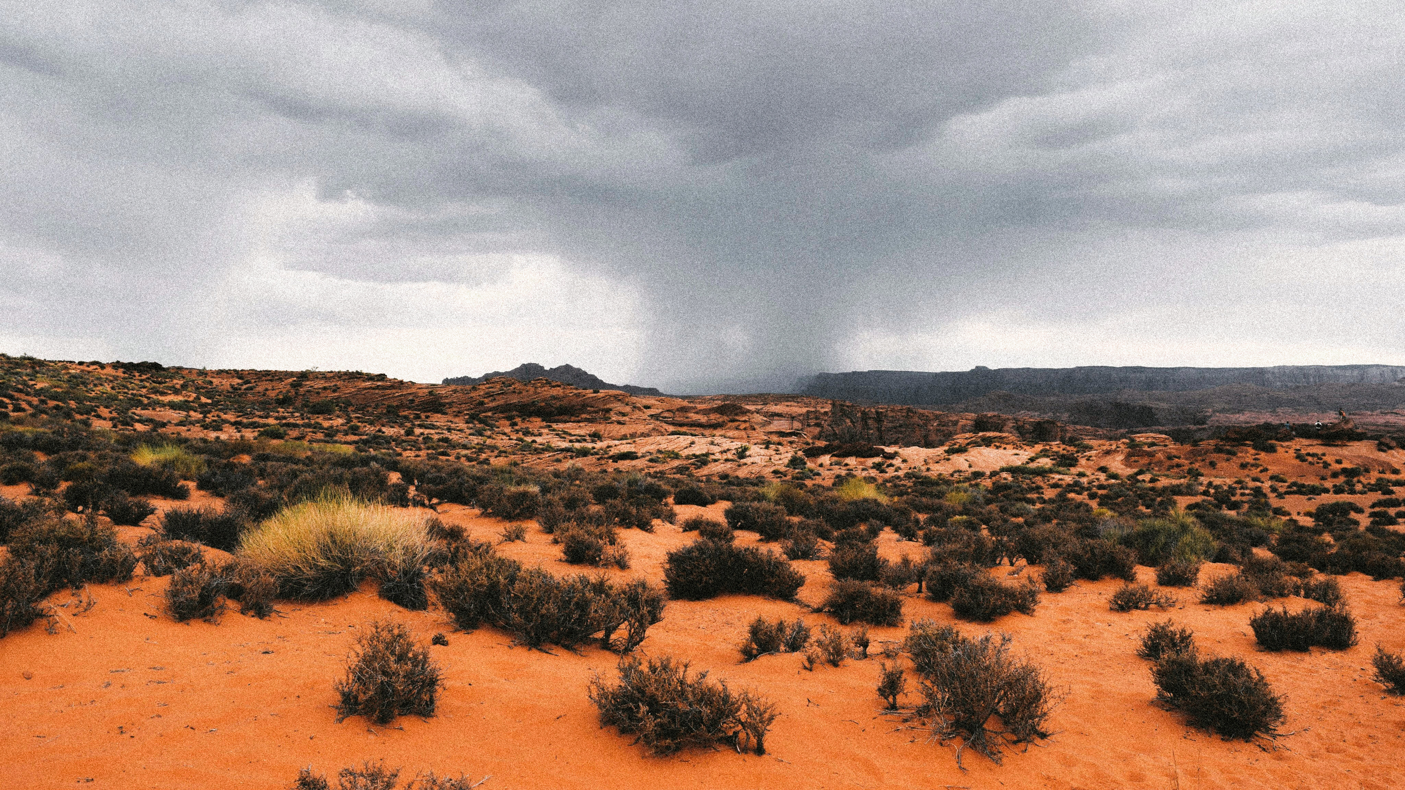 An image of a clouds and a rain cell in the distance, across red sand and tussocks in the desert.