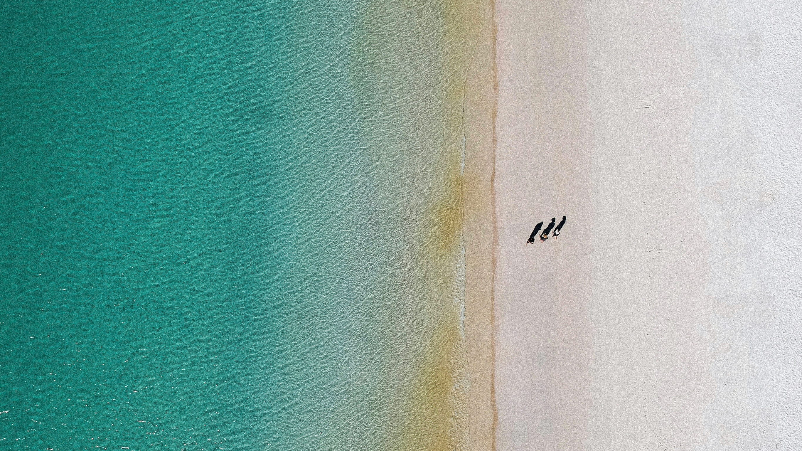 An aerial shot of blue ocean meeting a pristine, white sandy beach.